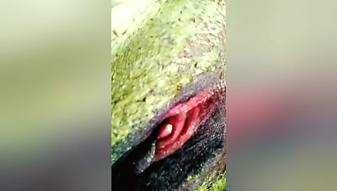 Indian amateur with a nice body gets fucked with a hot dildo